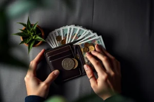 Frugal Living Tips Beginners Ideas