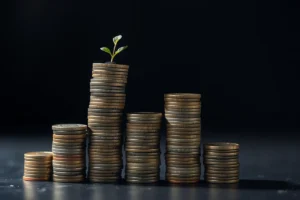 Frugal Living Tips Step Ideas