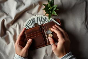 Frugal Living Tips Templates For Beginners